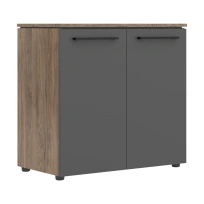 Шкаф для документов с глухими малыми дверьми Morris Trend MLC 85.1 Сосна Нордик/Антрацит 854×423×821