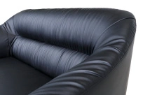 Двухместный диван Райт Вуд Euroforma / Экокожа Euroline / Черный 9100 / 1450×850×920