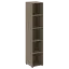 Вяз