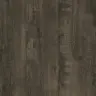 Дуб Бунратти