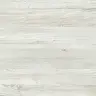 Сосна Винтер
